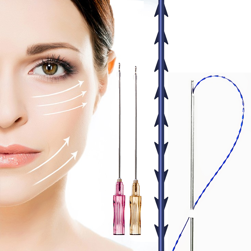 D.seahorse  Pdo Fishbone Threads L W Blunt Long- Lasting Tightening